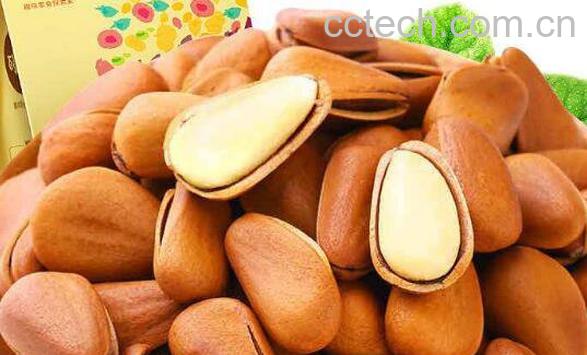 干果松子功效与作用-0