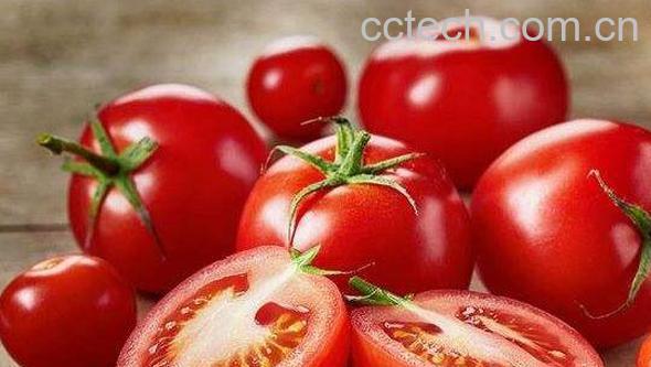 番茄红素的功效与作用-0