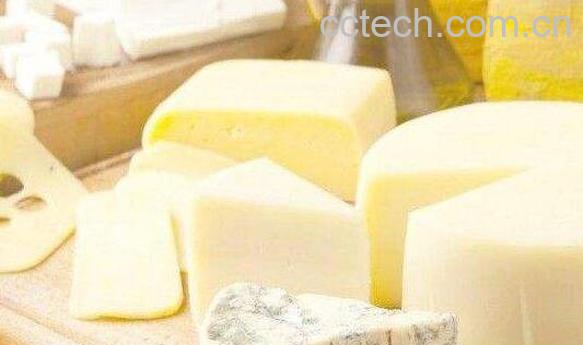 奶酪怎么吃-0