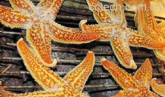 烤海星怎么吃 烤海星的正确吃法-0