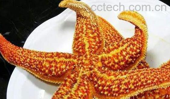 烤海星怎么吃 烤海星的正确吃法-1