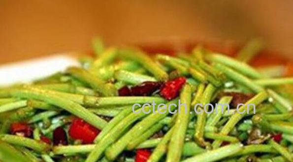 茼蒿和藜蒿有什么区别-1