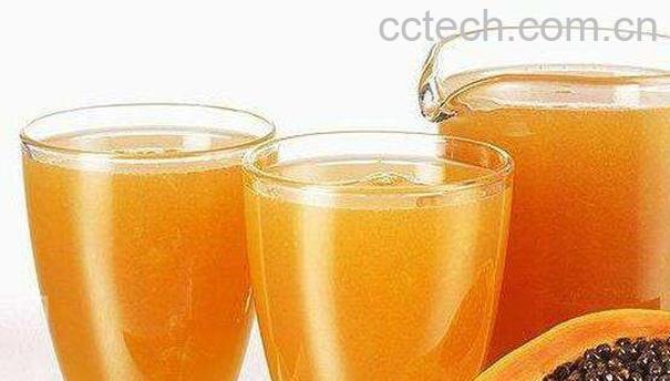 木瓜怎么打汁好喝 木瓜汁的做法教程-0