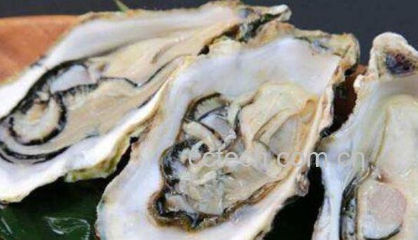 牡蛎的功效与作用 吃牡蛎的好处-1