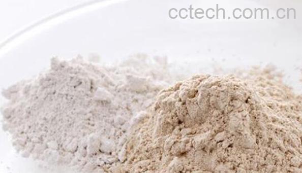 牡蛎壳粉的功效与作用-1