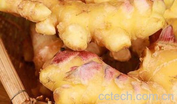 黄心姜什么功效与作用-0