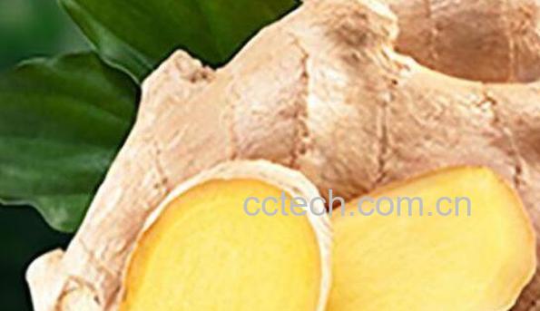 黄心姜什么功效与作用-1