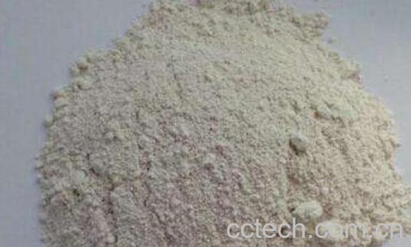 生蚝粉的功效与作用-1