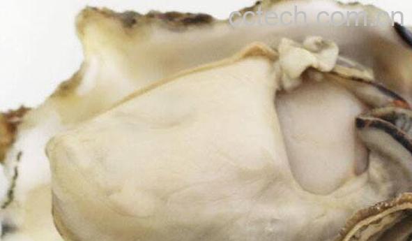 牡蛎粉怎么吃法 牡蛎粉的食用方法-1