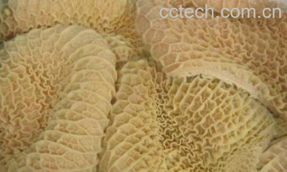 牛肚的营养价值和禁忌 吃牛肚的坏处-0