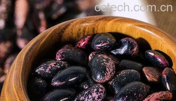 岩豆的功效与作用 岩豆的药用价值-0