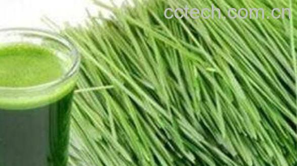 判断心脏四腔壁厚薄的简单方法-0