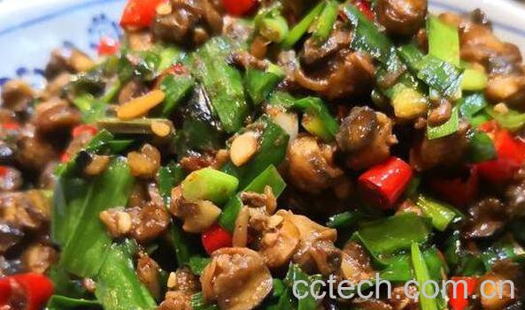 田螺肉怎么吃 田螺肉的家常做法-1