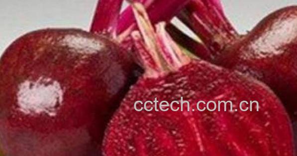 甜菜根的功效与作用 甜菜根的副作用-0