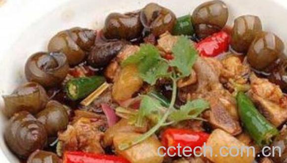 田螺肉的功效与作用 田螺肉有什么营养价值-0