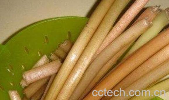 荷叶梗的功效与作用 荷叶梗的副作用-1