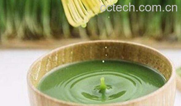 大麦苗青汁功效与作用-0