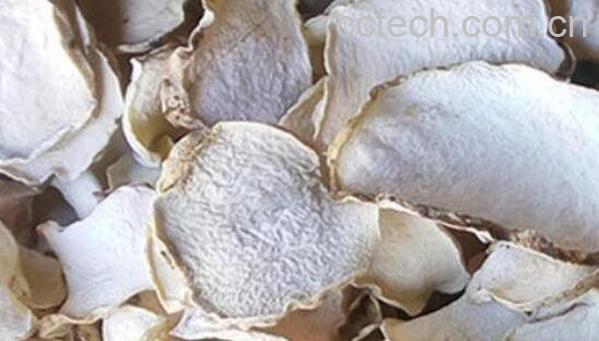 魔芋片的作用与功效-1