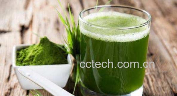 大麦苗泡水的功效与作用-0