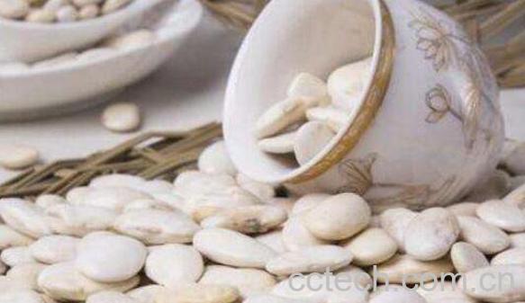 白芸豆的功效与禁忌-0