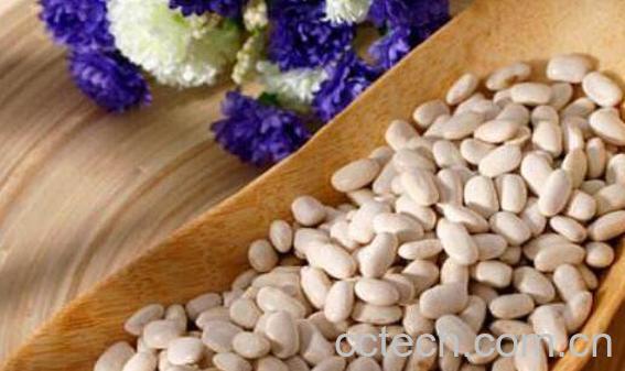 白芸豆的功效与禁忌-1