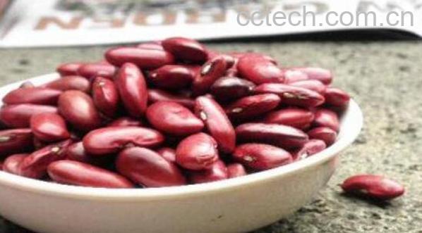 红芸豆的功效与禁忌-1
