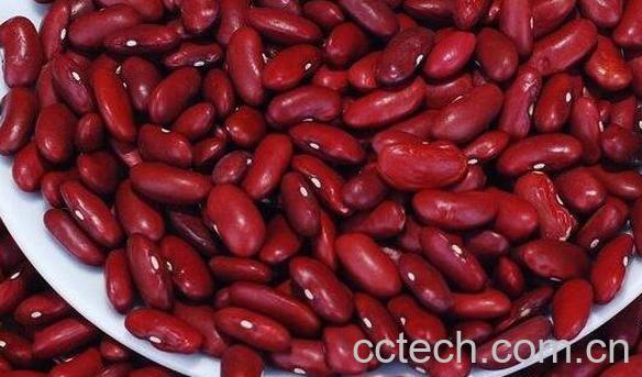 红芸豆的功效与禁忌-0