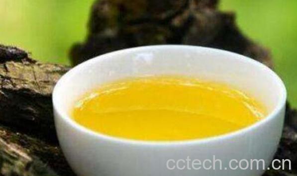 生茶油怎么喝 生吃茶油的好处与坏处-1