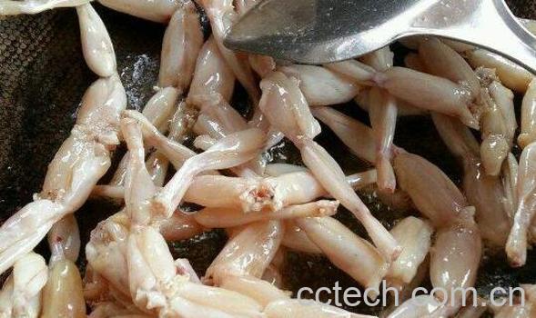 青蛙干的功效与作用-0