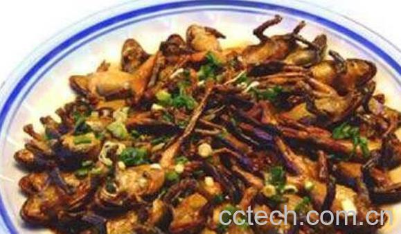 干林蛙的功效与吃法-1