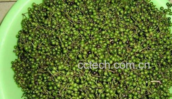 山胡椒和木姜子的区别 山胡椒的功效与作用-0