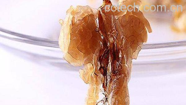 女人吃林蛙油的功效与作用 女人吃林蛙油最佳时间-0