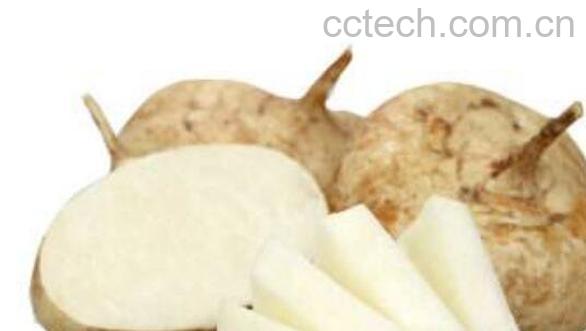 土瓜怎么吃 土瓜的食用方法-0