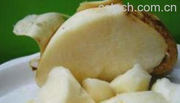 土瓜怎么吃 土瓜的食用方法-1