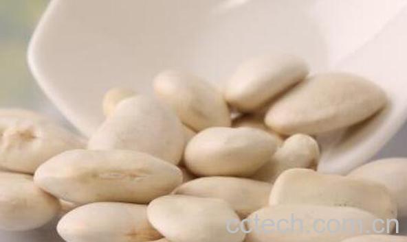 白芸豆的功效与作用及禁忌-0