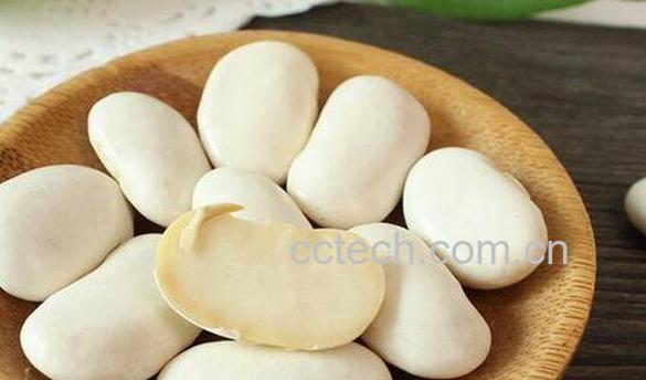 白芸豆的功效与作用及禁忌-1