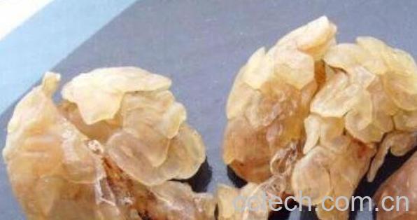 林蛙油怎么吃 林蛙油的正确吃法-0