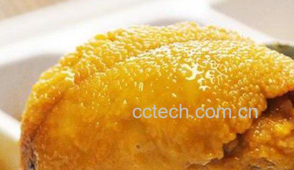 海胆黄怎么吃 海胆黄罐头怎么吃-0