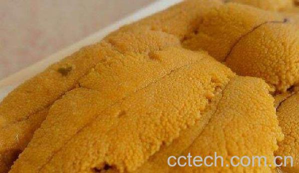 海胆黄怎么吃 海胆黄罐头怎么吃-1