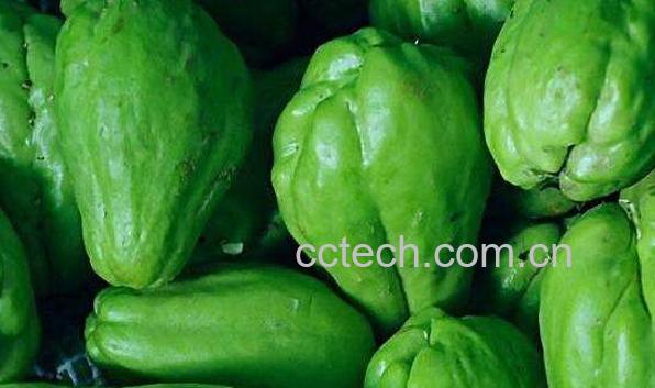 佛手的功效与作用 佛手的禁忌-1