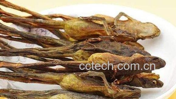 雪蛤干的功效与作用 吃雪蛤干的好处-0