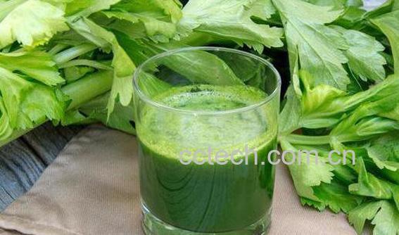 芹菜汁的功效与作用 喝芹菜汁的好处有哪些-1