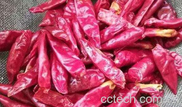 干红辣椒怎么保存 干红辣椒的保存方法-1