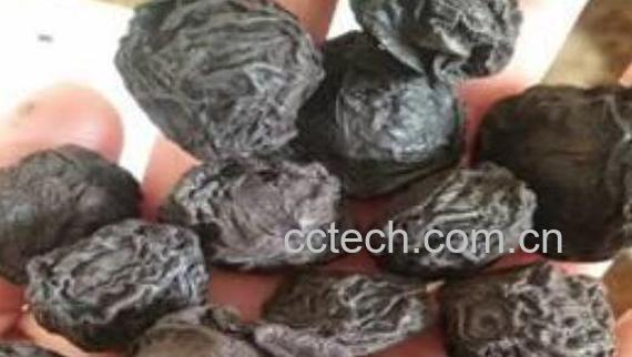 桦菌芝的功效与作用 桦菌芝的副作用-0