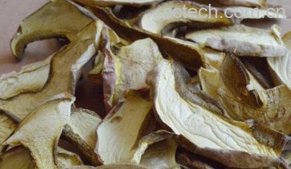 白葱菌的功效与作用-0