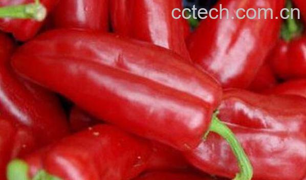 红青椒的营养价值 吃红青椒的好处-0