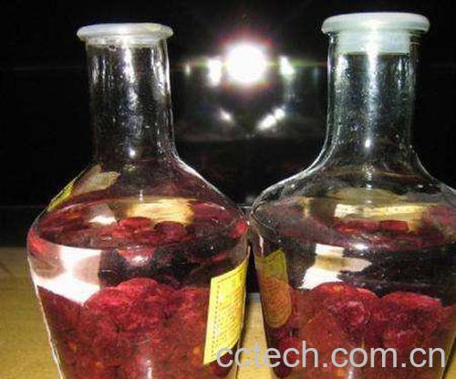 辣椒泡酒-0