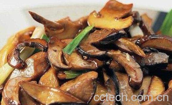 牛肝菌的功效与作用 牛肝菌的禁忌-1