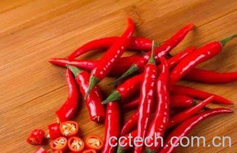 辣椒泡酒-1