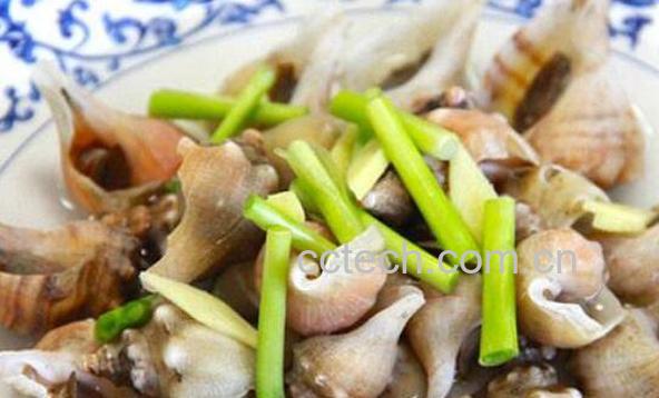 角螺的功效与作用-0